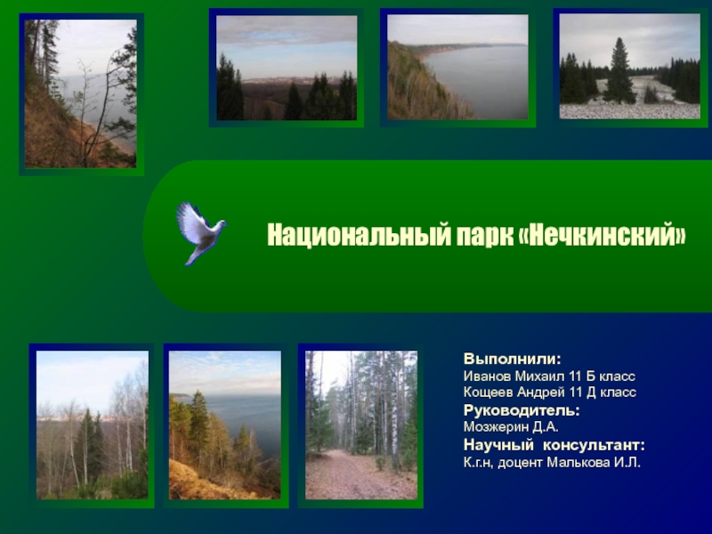Национальный парк Нечкинский
