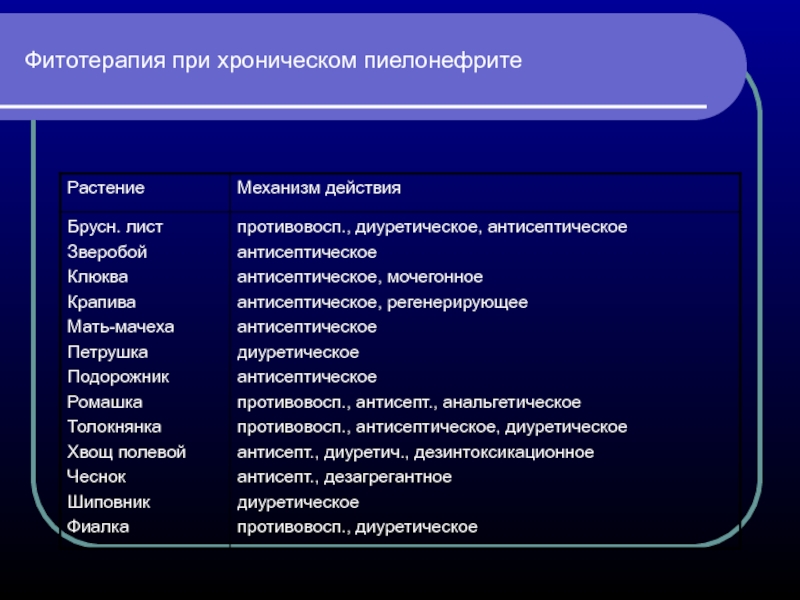 Фитотерапия мочекаменной болезни презентация