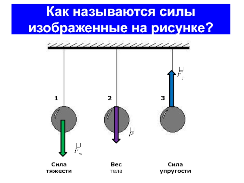 На рисунке изображены силы действующие на тело как называется сила изображенная под номером 2