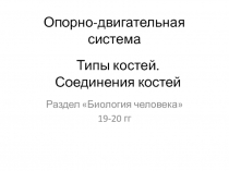 Опорно-двигательная система