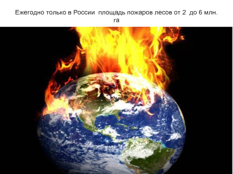Ежегодно только в России площадь пожаров лесов от 2 до 6 млн. га