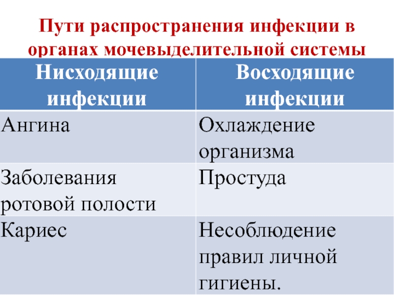 Болезни почек таблица. Пути распространения инфекции. Заболевания мочевыделительной системы таблица. Предупреждение заболеваний почек питьевой режим. Заболевание почек 8 класс биология.