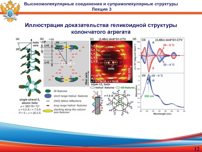 доцент, к.х.н. Малахова Юлия Николаевна
Лекция 3
Высокомолекулярные Иллюстрация доказательства геликоидной структуры колончатого агрегатаВысокомолекулярные соединения и супрамолекулярные структуры Лекция 3 Иллюстрация доказательства геликоидной структуры колончатого агрегатаВысокомолекулярные соединения и супрамолекулярные структуры Лекция 3
