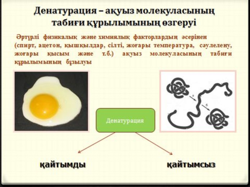 Проект денатурация белка 10 класс