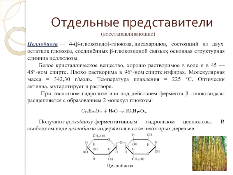 Схема гидролиза целлюлозы