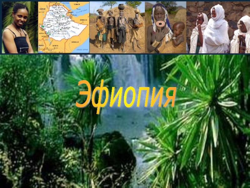 Эфиопия 7 класс