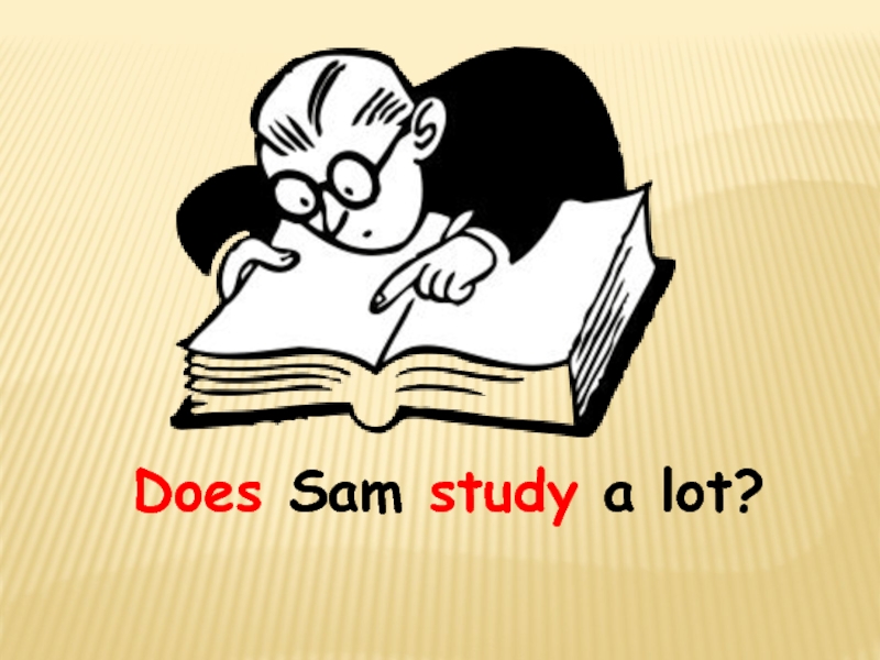 Sam study. What does study Sam. Sam does.