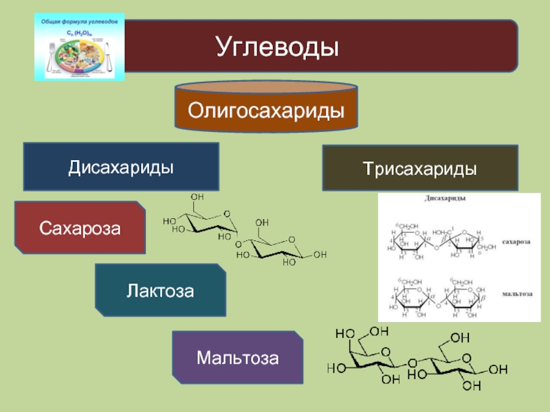 К каким углеводам относится лактоза олигосахарид. Примеры Алидо сахарилы.. Углеводы олигосахариды дисахариды. Олигосахариды примеры. Олигосахариды формула.