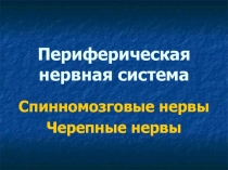 Периферическая нервная система 