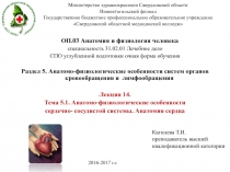 Министерство здравоохранения Свердловской области Нижнетагильский филиал