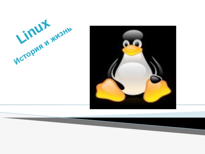 История возникновения операционной системы Linux