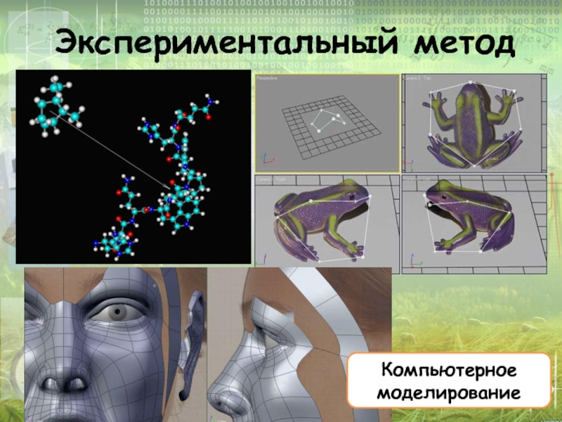 Компьютерное моделирование презентация