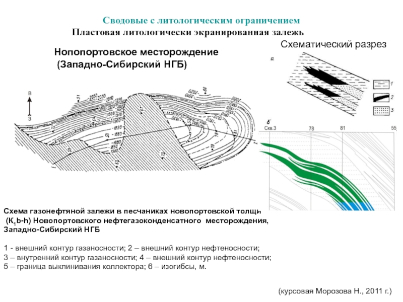 Схема нефтяного месторождения