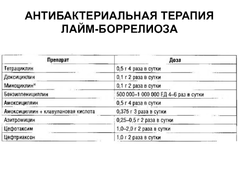 Схема лечения клещевой боррелиоз