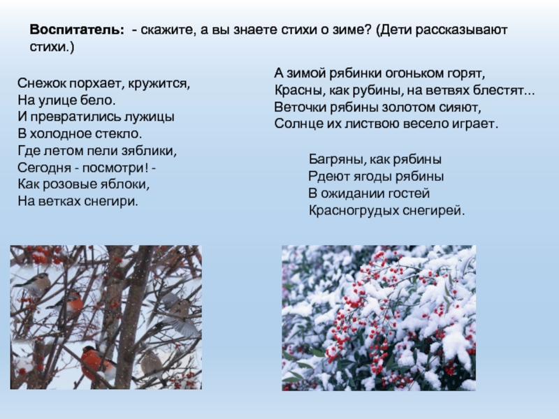 Стих снежок. Стихи Некрасова про зиму. Стихи Некрасова о зиме для детей. Снежок порхает кружится.