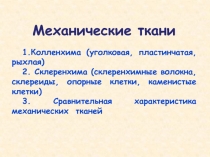 Механические ткани
1.Колленхима (уголковая, пластинчатая, рыхлая)
2