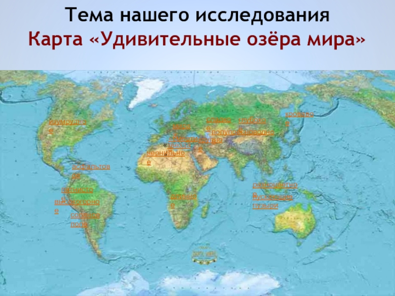 Заповедное озеро Ханка: стоит ли ехать к этому болоту? Тур на Диване Дзен