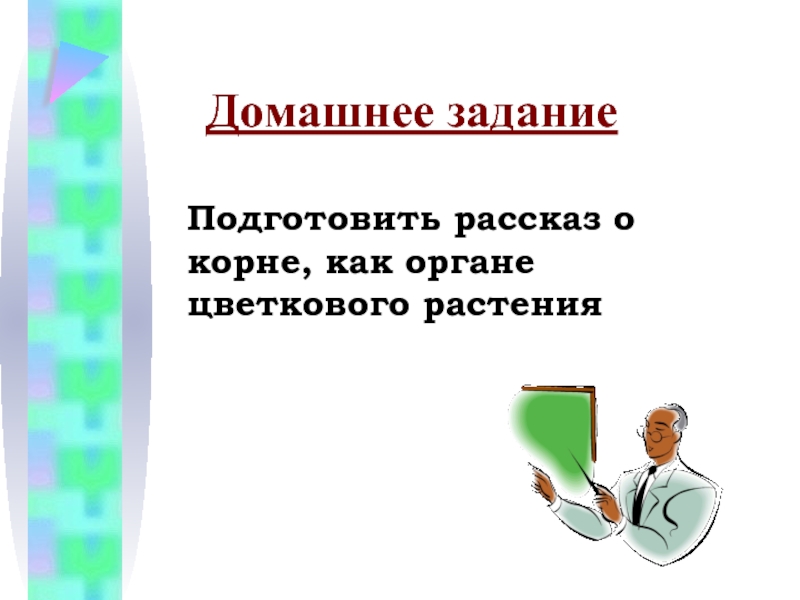 Рассказ корень. Рассказ о корне. Подготовить рассказ о корне. Наука которая изучает корень. Рассказ из корней.