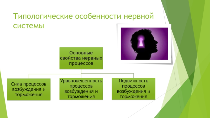 Индивидуальные особенности внд человека. Типологические особенности человека. Индивидуально-типологические особенности. Типологические особенности ребенка. Презентация индивидуально-типологические особенности личности..