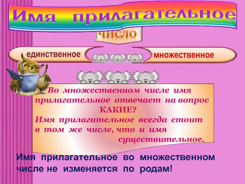 Единственное и множественное число имен прилагательных 2 класс школа россии презентация