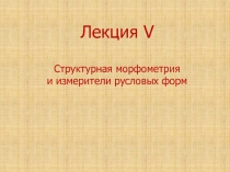 Лекция V Структурная морфометрия и измерители русловых форм