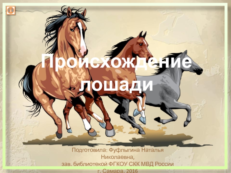 Происхождение лошади