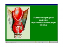 дыхание 