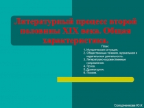Литературный процесс второй половины XIX века