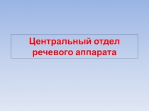 Центральный отдел речевого аппарата 