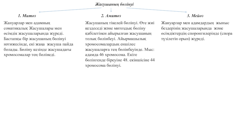 Жасушаның бөлінуі мейоз презентация