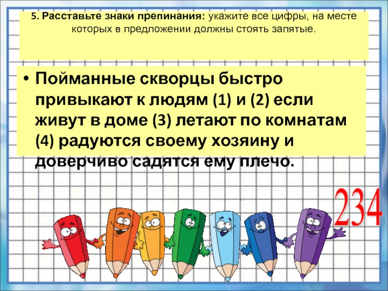 Расставьте знаки препинания на улице. Пойманные скворцы быстро привыкают к людям. Расставьте знаки препинания,  в поведении скворца. Пойманные скворцы быстро привыкают к людям и если живут в доме. Загадки знаком препинания.