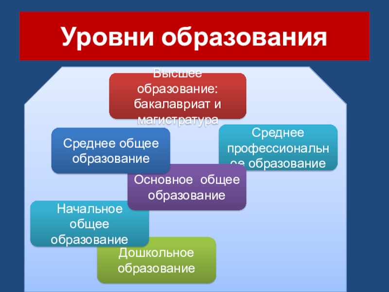 Образование проект по обществознанию 8 класс