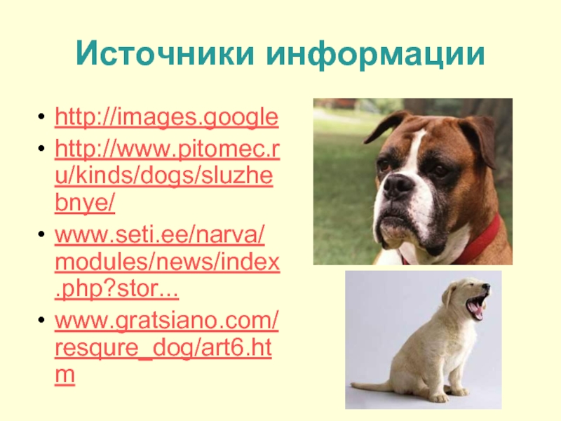 Источники информацииhttp://images.googlehttp://www.pitomec.ru/kinds/dogs/sluzhebnye/www.seti.ee/narva/modules/news/index.php?stor... www.gratsiano.com/resqure_dog/art6.htm