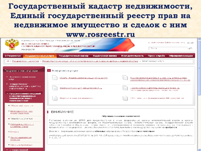 Официальные государственные реестры