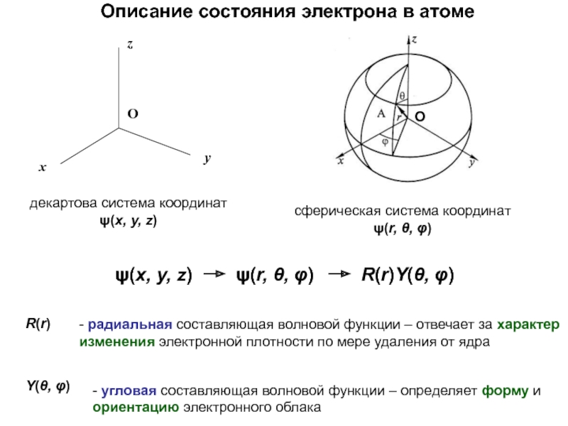 Составляющие электрона. Радиальная и угловая составляющие волновой функции. Угловое распределение электронной плотности в атоме. Радиальная составляющая волновой функции. Угловая составляющая волновой функции.