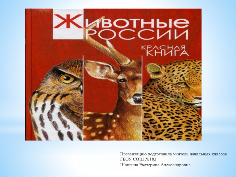 Красная книга. Животные России 2 класс