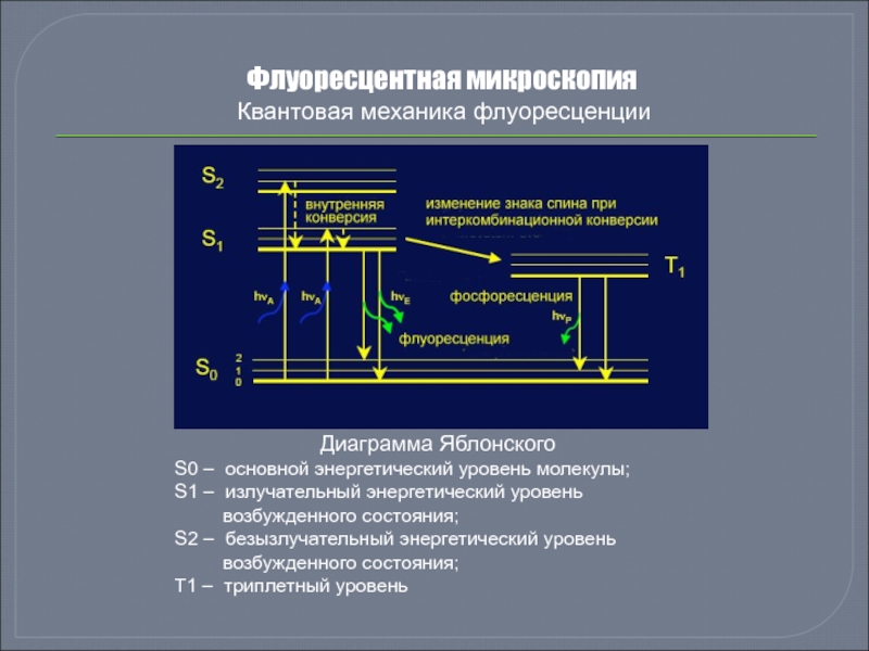 Схема яблонского люминесценция