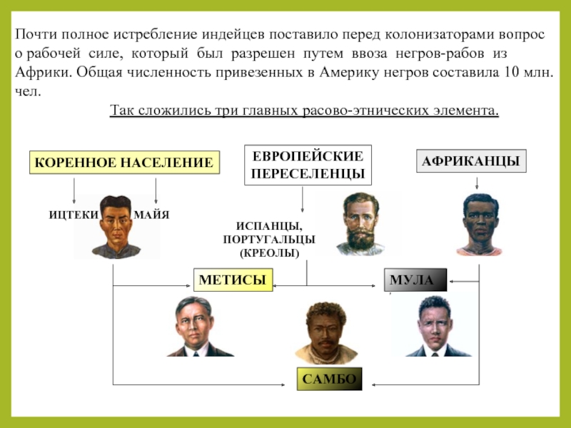 Расово этнический состав сша