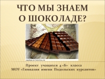 Что мы знаем о шоколаде?