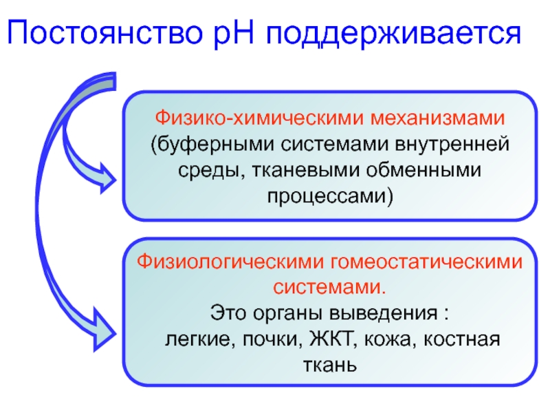 Механизмы химических процессов