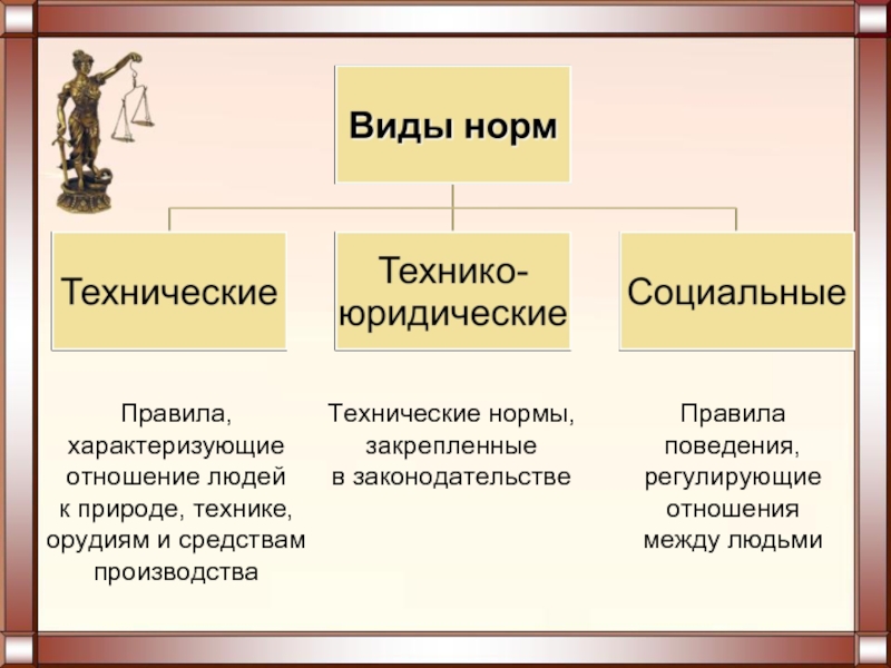 Виды соц норм схема