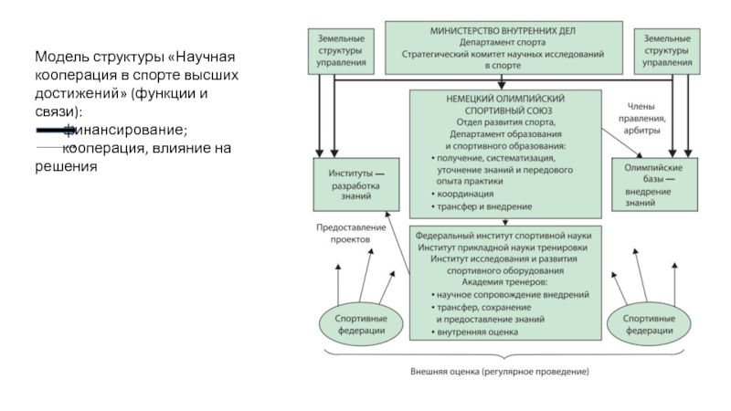 Федеральный проект развитие спорта высших достижений