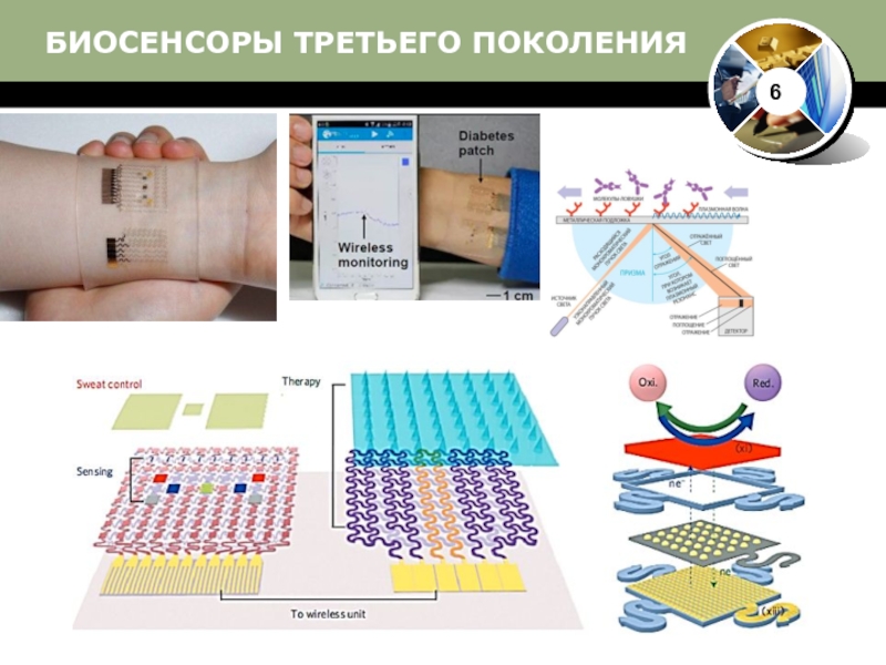 Биосенсоры для мониторинга презентация