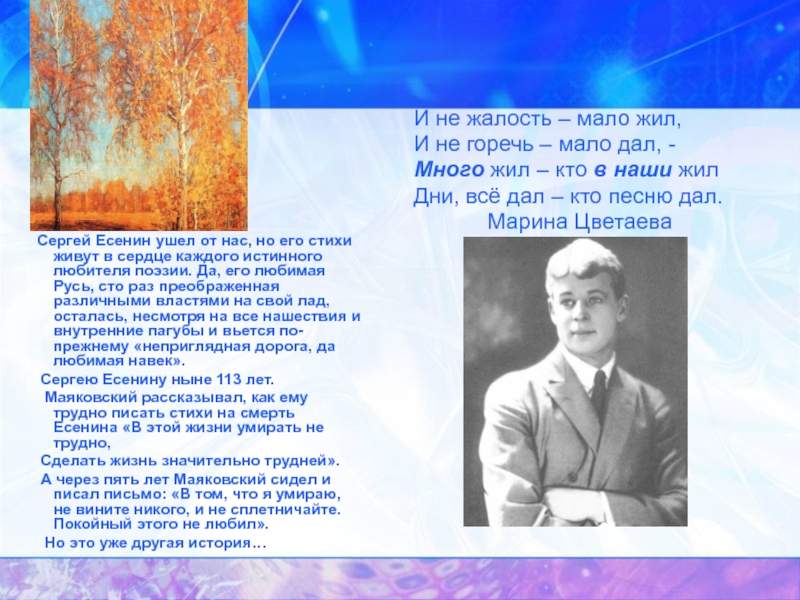 Есенин уходящая. Темы Есенина. Есенин и его стихи. И не жалость мало жил. Стихи ушел из жизни Есенин.