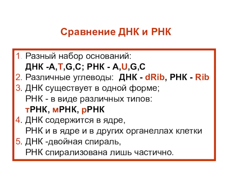 Основание днк. Углевод ДНК И РНК. Сравните ДНК И РНК углевод. Замена оснований ДНК. Виды углеводов ДНК И РНК.