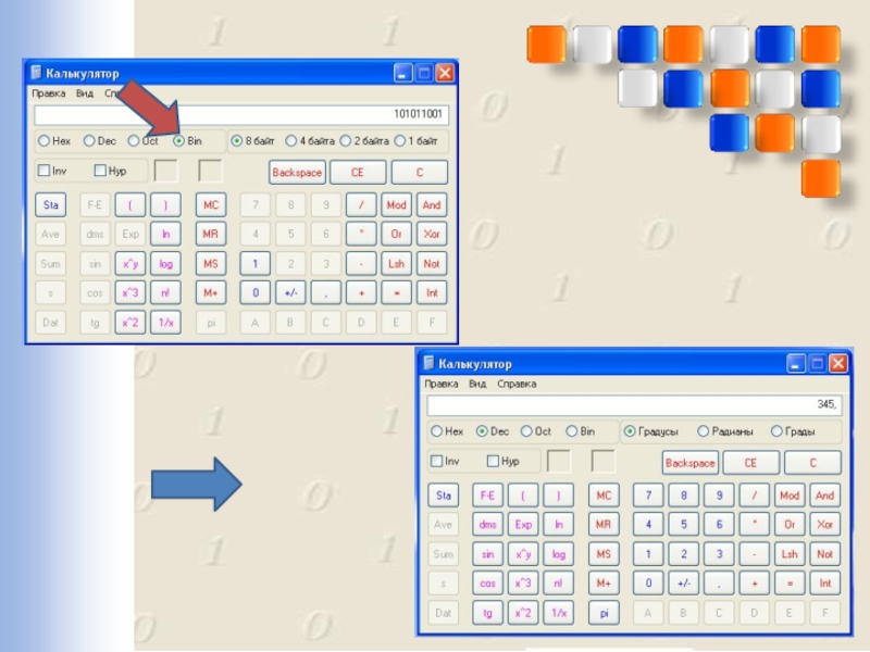 Калькулятор 9 класс. Что такое bin на калькуляторе. Где находится Dec и bin в калькуляторе. Калькулятор перевод обратной системы.