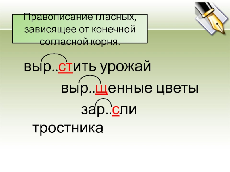 Склоняюсь к ручью. Корни зависящие от конечной согласной. Правописание зависит от конечной согласной корня. Написание зависит от конечного согласного корня. Конечный согласный корня это.