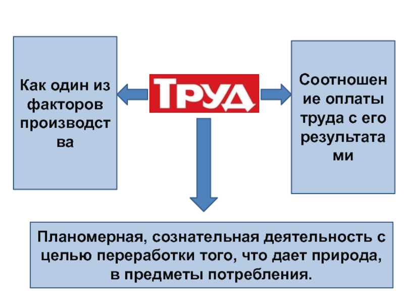 Сознательная деятельность