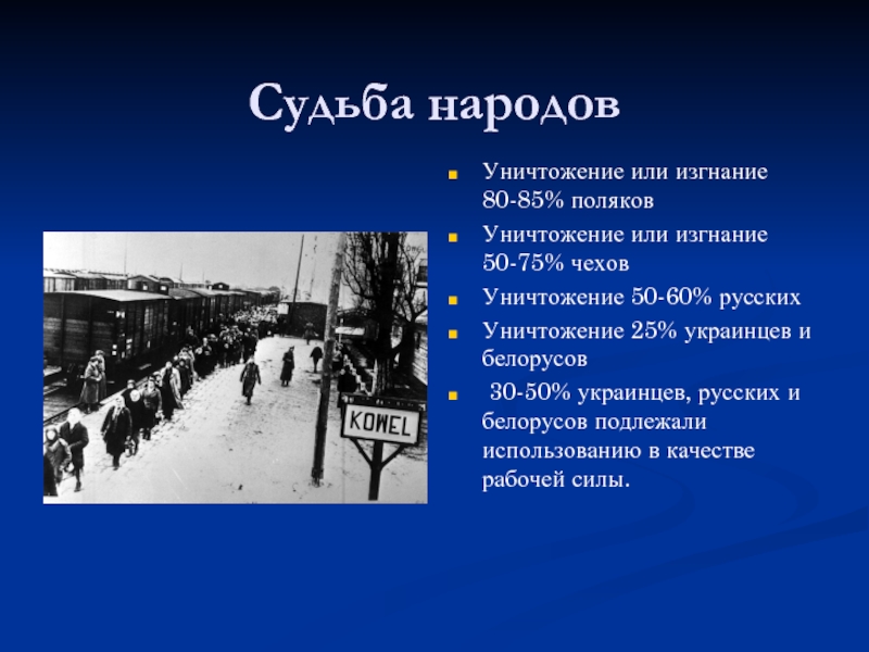 Раскройте в чем заключались основные положения плана ост как вы определите