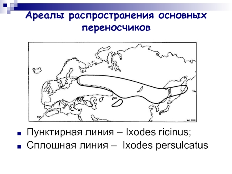 Основные распространение